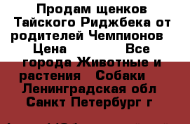 Продам щенков Тайского Риджбека от родителей Чемпионов › Цена ­ 30 000 - Все города Животные и растения » Собаки   . Ленинградская обл.,Санкт-Петербург г.